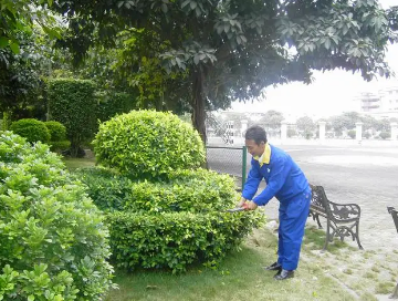 綠化養(yǎng)護(hù)如何提高管理水平？