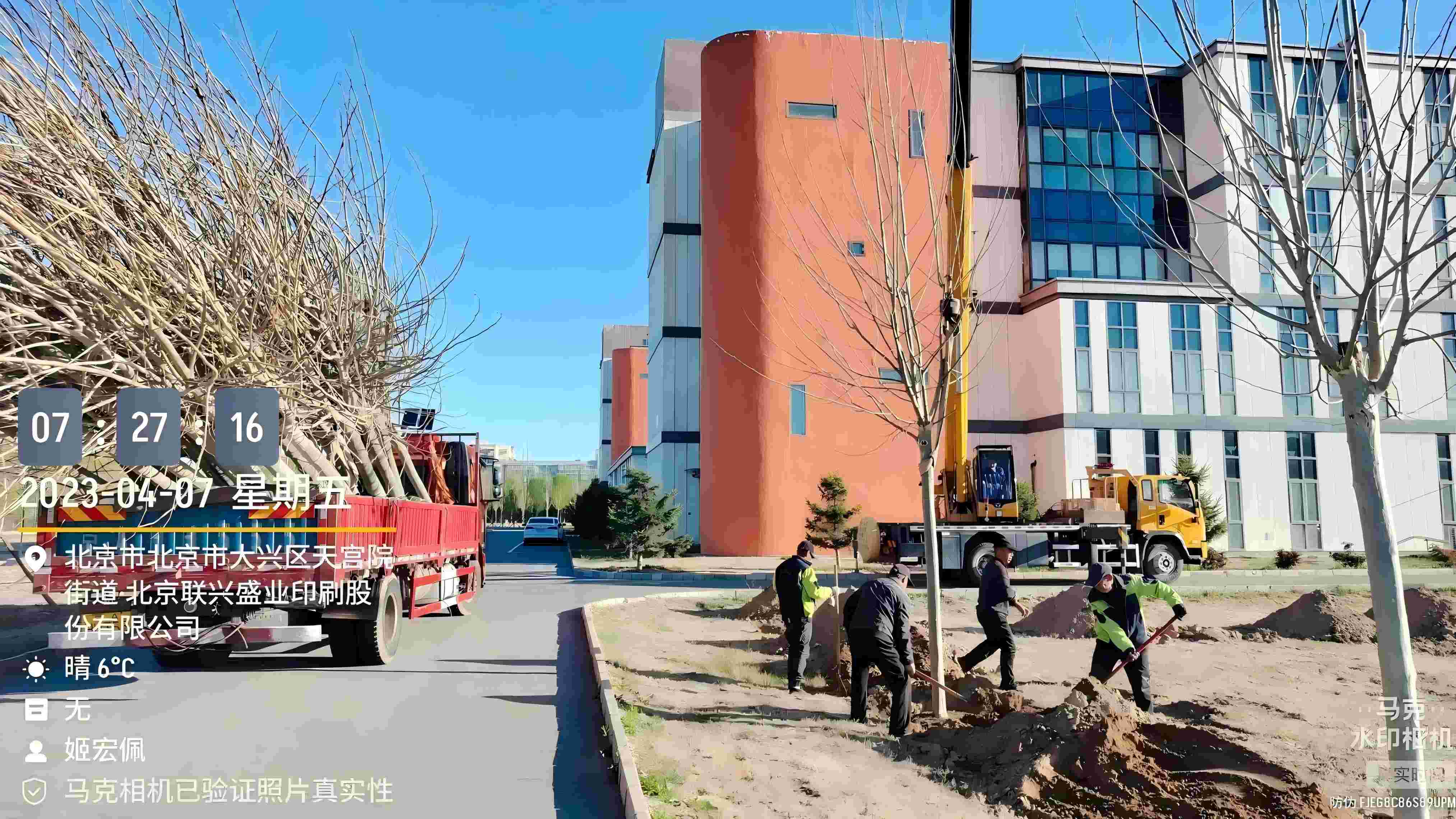 北京春季植樹最好的時間是什么時候？
